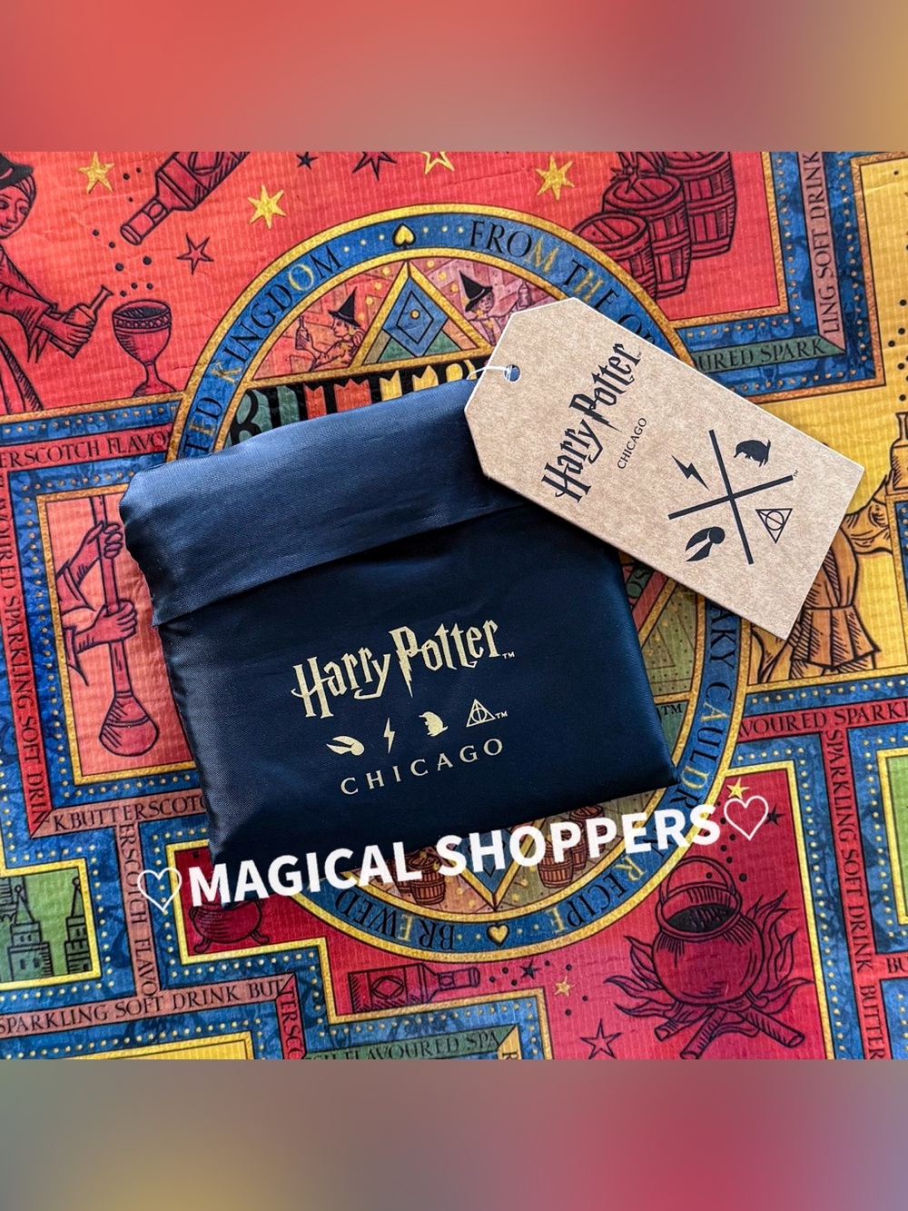 Harry Potter Chicago Exclusive Packable Shopper Eco Bag NWT